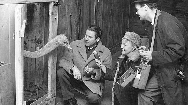 Sigvard Berggren till vänster när han medverkade i radio. Foto: Borås Djurpark